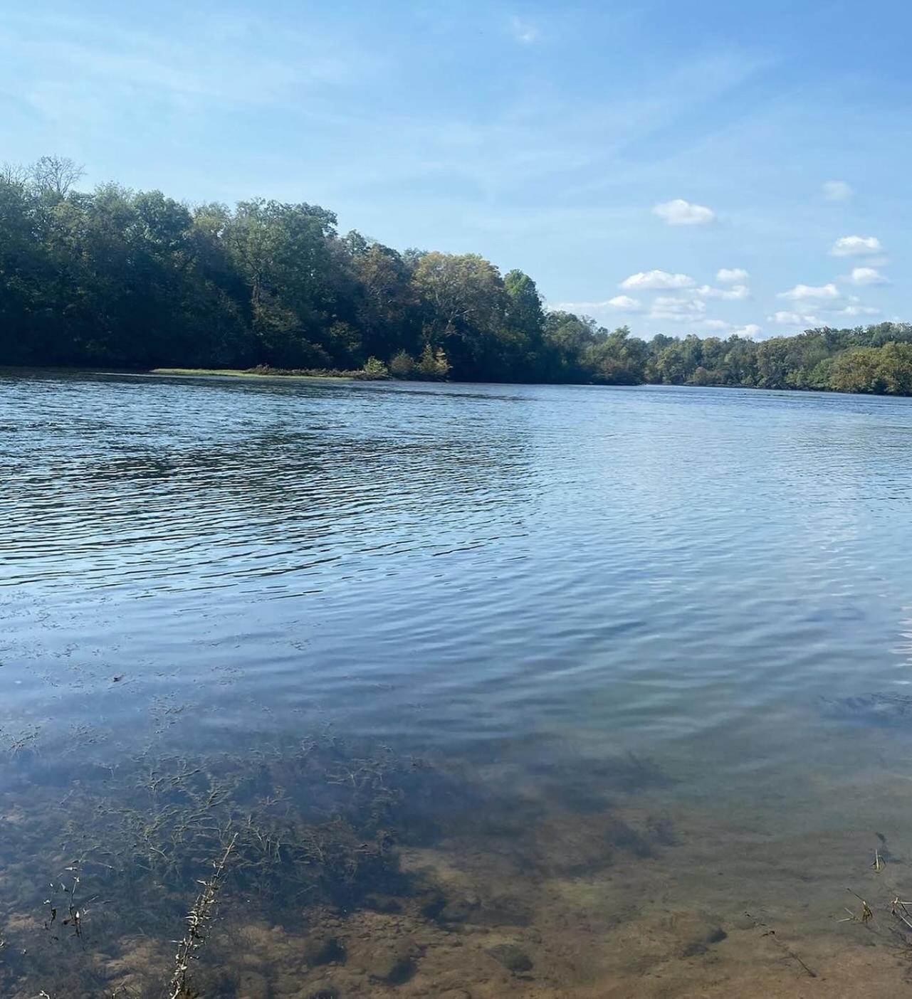 Luxury Riverfront Tiny House- Amazing Views- #111 Strawberry Plains Exterior foto